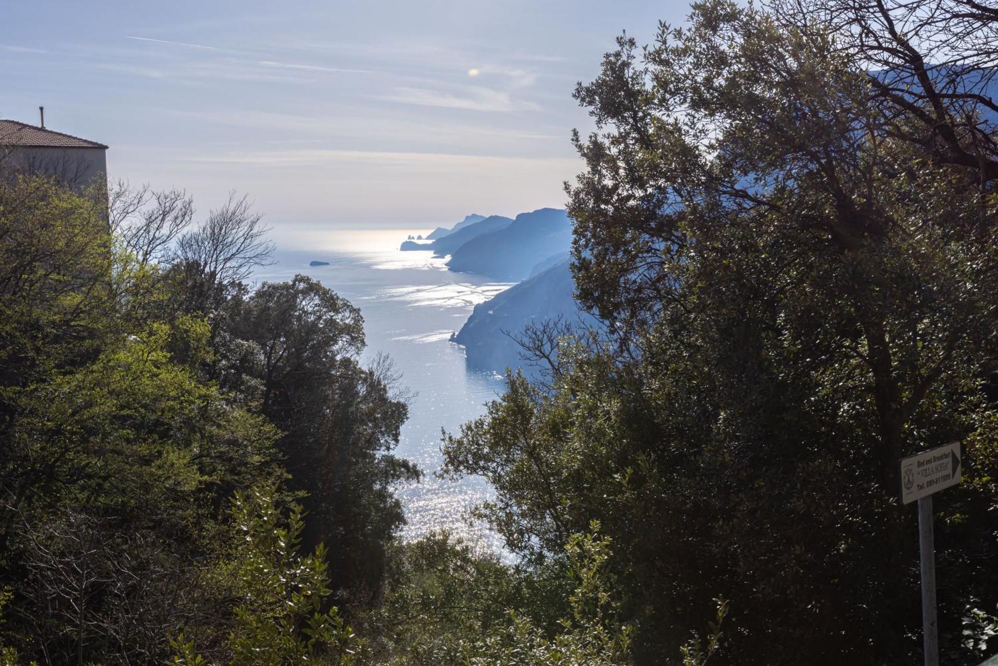 Casa Satriano Lejlighed Positano Eksteriør billede